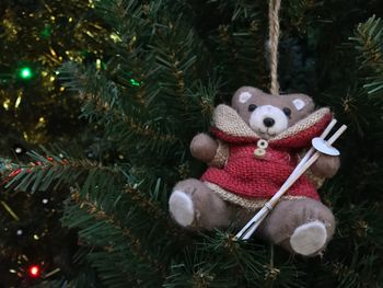 Close-up of christmas decorations on tree at night
