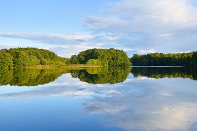 Reflection of trees in lake against sky