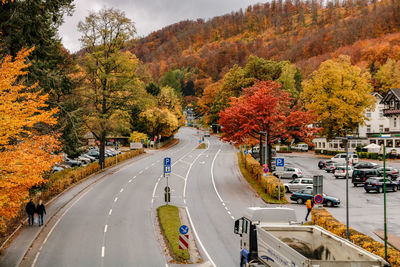 Road amidst trees during autumn