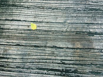 Full frame shot of weathered wooden plank