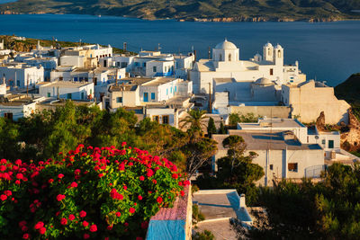 Picturesque scenic view of greek town plaka on milos island over red geranium flowers