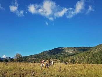 People walking on mountain against blue sky