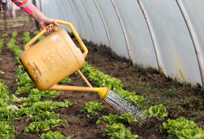 Low section of man working on field