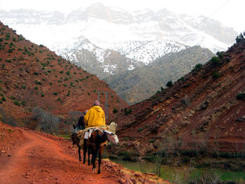 People riding horses on mountain road