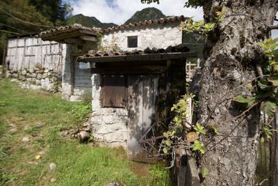 Plants growing on old abandoned house in field