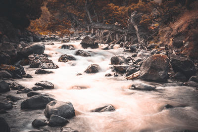 Scenic view of waterfall in forest