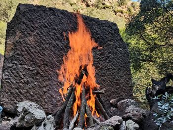 Bonfire on wooden log