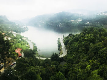 High angle view of trees in forest against sky