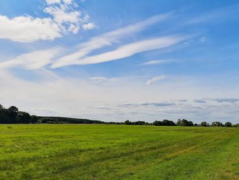 Scenic view of field against sky