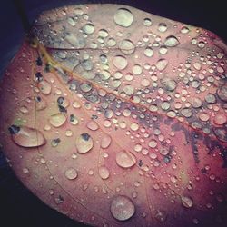 drop