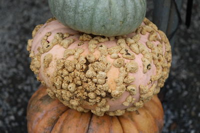 Close-up of pumpkin
