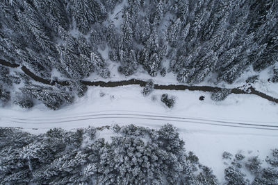 Snow covered trees on landscape