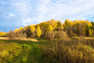 Trees on field against sky during autumn