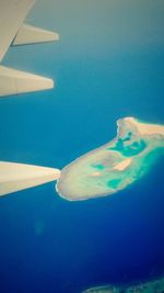 Close-up of swimming underwater