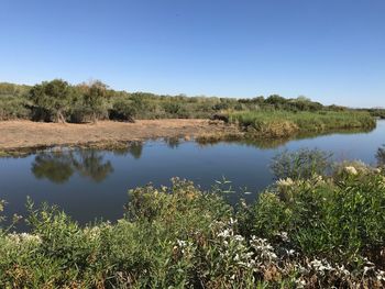 Scenic view of lake against clear blue sky