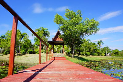 Footpath amidst trees against sky