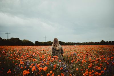 Scenic view of flowering plants on field against sky