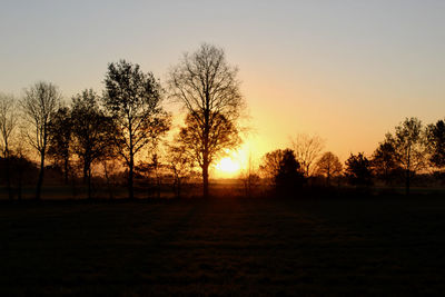 Silhouette trees on field against sky during sunset