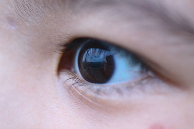 Extreme close-up of human eye