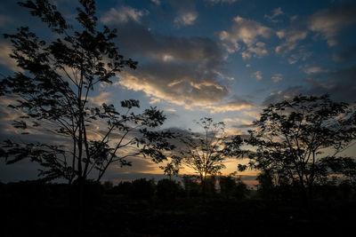 Silhouette trees against dramatic sky during sunset