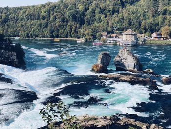 Scenic view of river flowing through rocks in forest