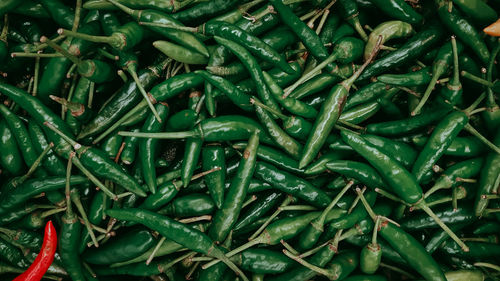 Full frame shot of green chili peppers