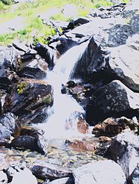 Close-up of water flowing through rocks