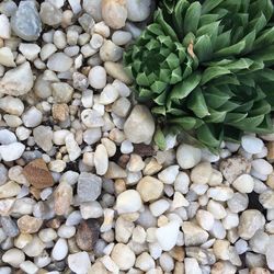 High angle view of stones