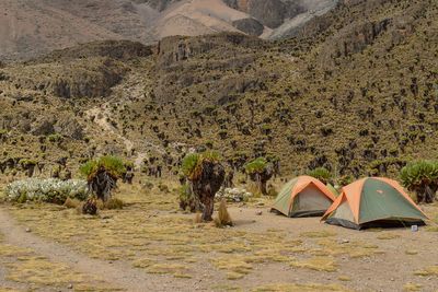 Camping in the panoramic mountain landscapes of mount kenya