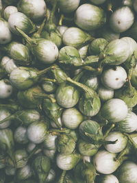 Full frame shot of vegetables for sale in market