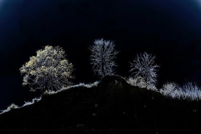 Low angle view of silhouette trees against sky at night