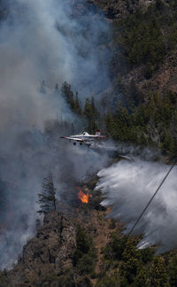 High angle view of fire in forest