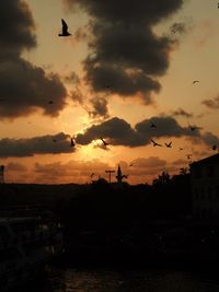 Silhouette birds flying against dramatic sky during sunset