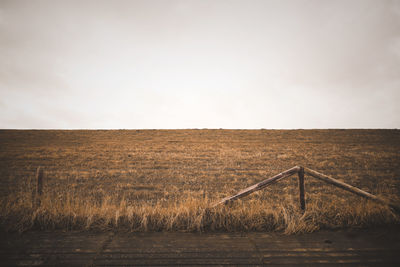 Scenic view of agricultural field against clear sky