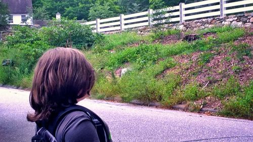 Rear view of a young woman