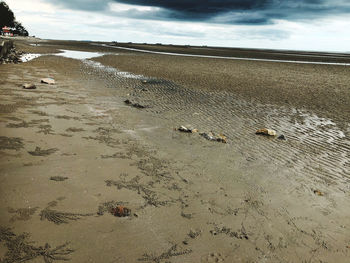 Scenic view of beach against sky