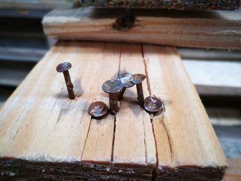 Close-up of rusty bolts on wood