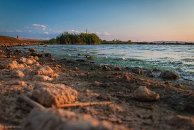 Surface level of rocks on beach against sky during sunset