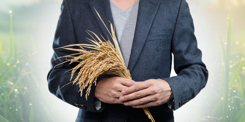 Midsection of businessman holding wheat