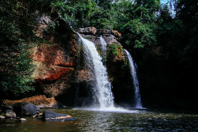 Scenic view of waterfall in forest