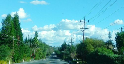 Panoramic view of trees against sky