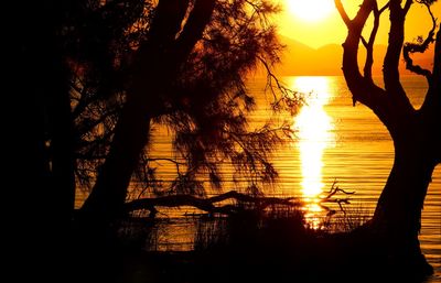 Silhouette trees by lake against sky during sunset