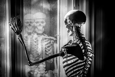 Human skeleton looking through window