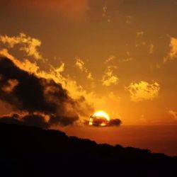 Silhouette of trees at sunset