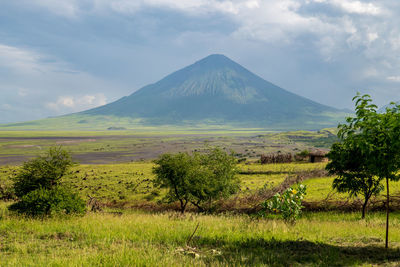 Scenic view of field against mountain