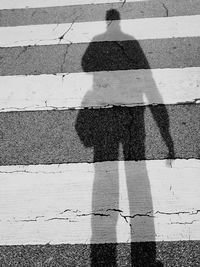 High angle view of zebra crossing on road