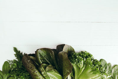 Flat lay with fresh green salad leaves of spinach, lettuce, romaine on white background