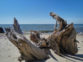 Panoramic view of driftwood on beach against clear sky