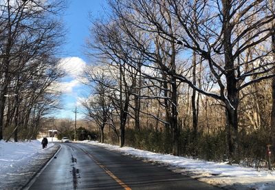 Road amidst bare trees in city during winter