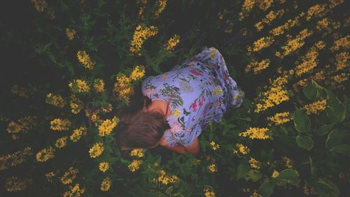 High angle view of woman by yellow flowers on field